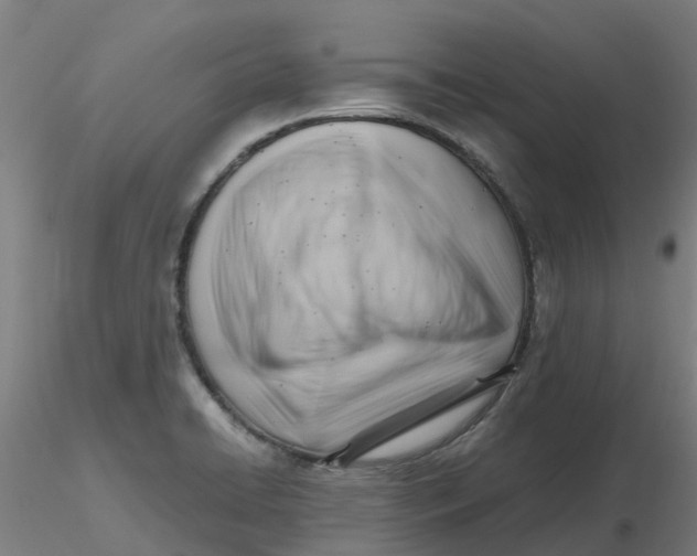 X0000116351422200912221452