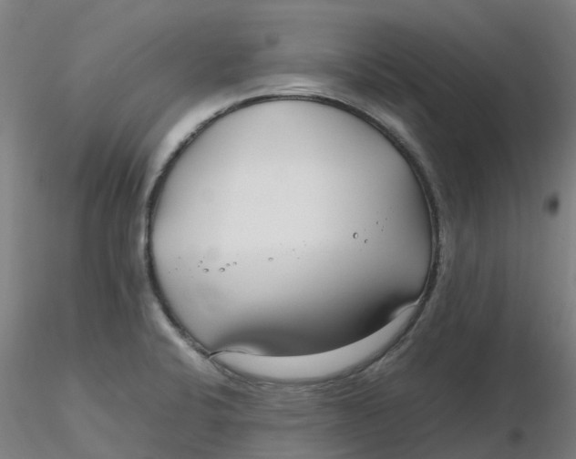 X0000116351424200912221452