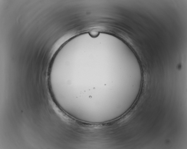 X0000116351426200912221452