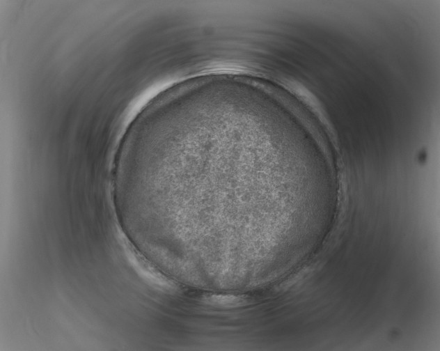 X0000116351427200912221452