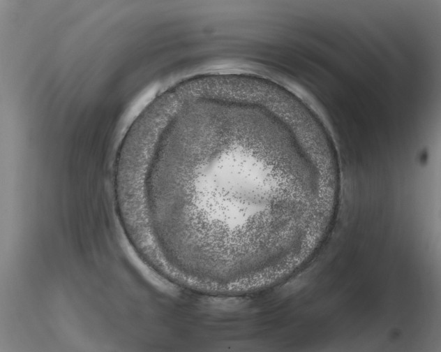 X0000116351429200912221452