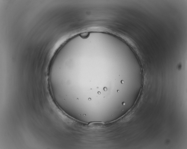 X0000116351430200912221452