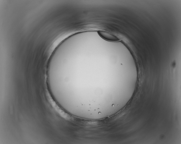 X0000116351431200912221452