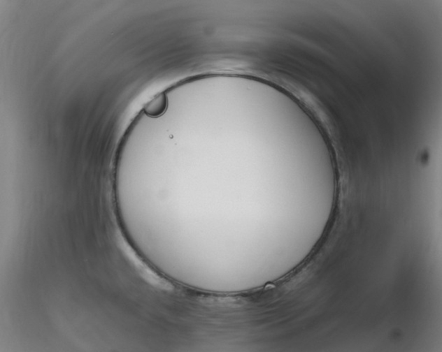 X0000116351432200912221452