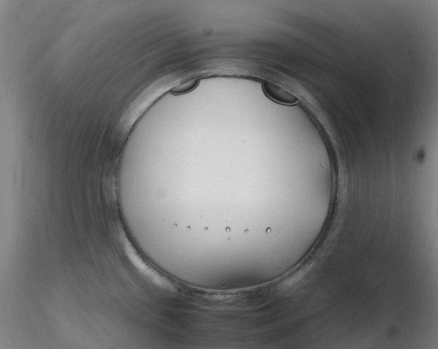 X0000116351433200912221452