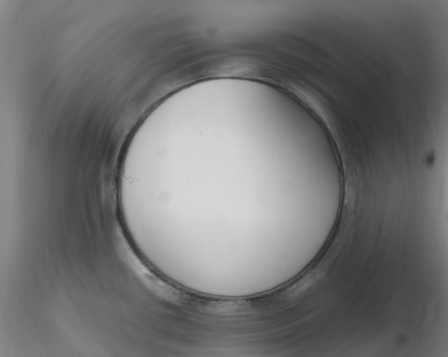 X0000116351434200912221452