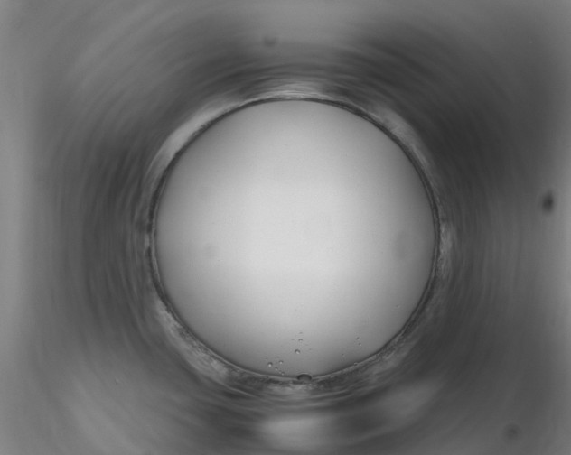 X0000116351435200912221452