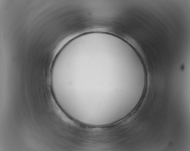 X0000116351436200912221453