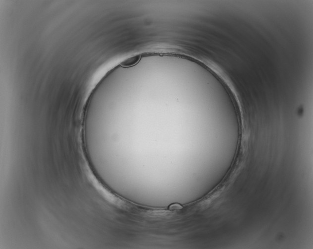 X0000116351437200912221453