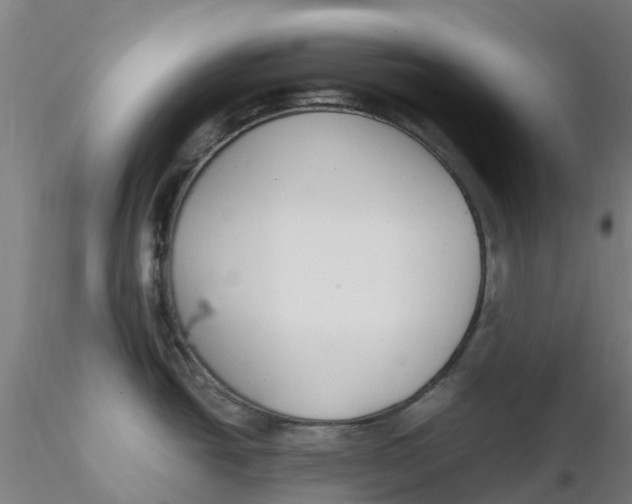 X0000116351438200912221453