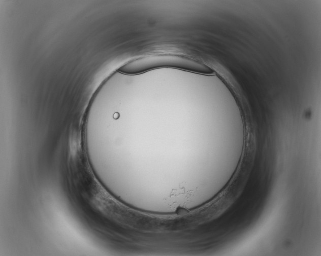 X0000116351439200912221453