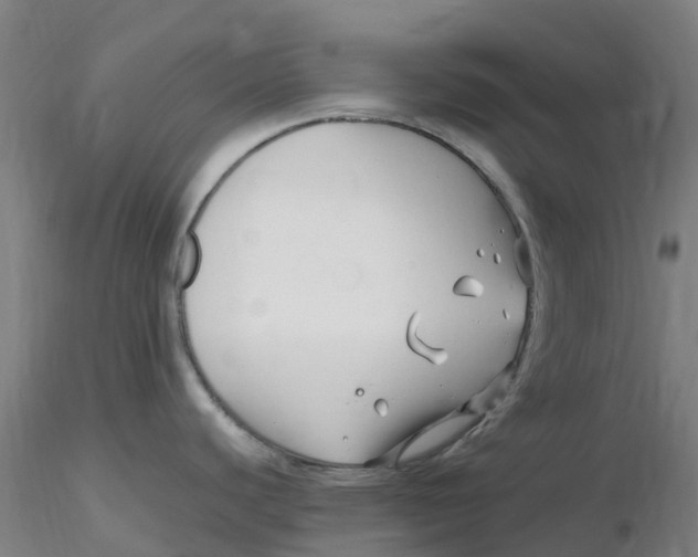 X0000116351440200912221453