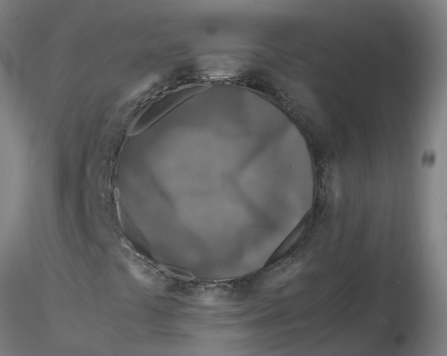 X0000116351441200912221452