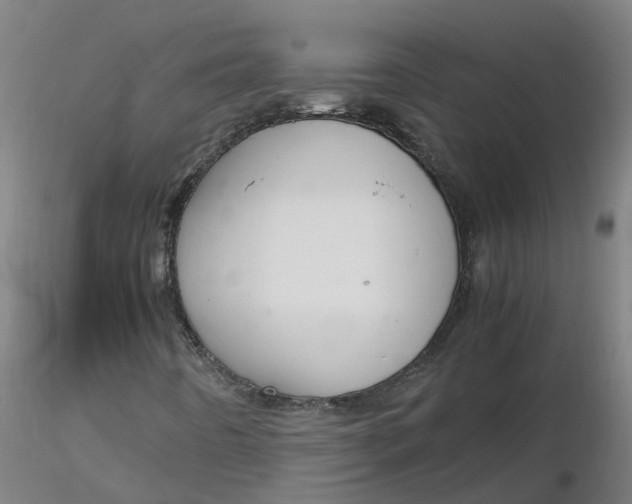 X0000116351442200912221452