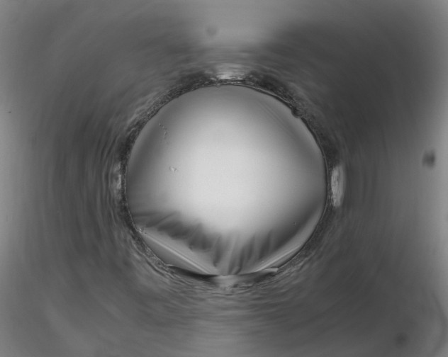 X0000116351443200912221452