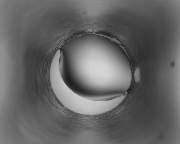 X0000116351444200912221452