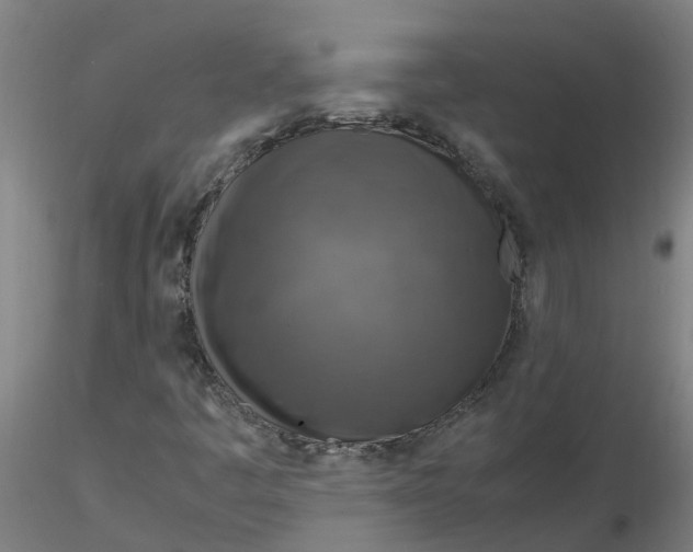 X0000116351445200912221452