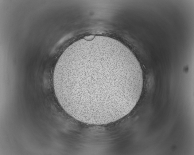 X0000116351446200912221452