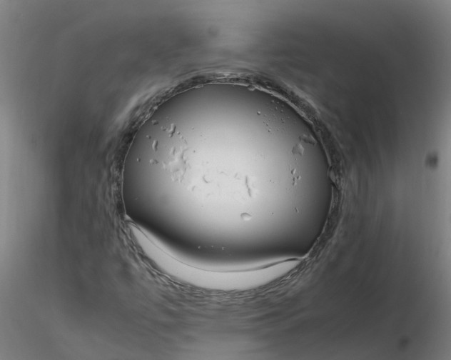 X0000116351447200912221452