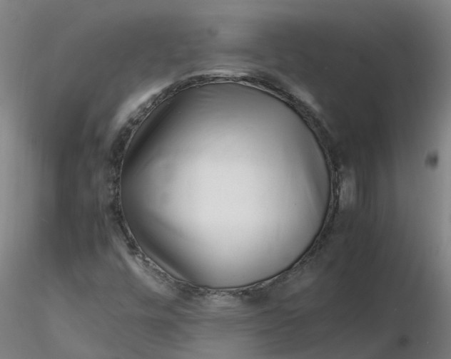 X0000116351448200912221452