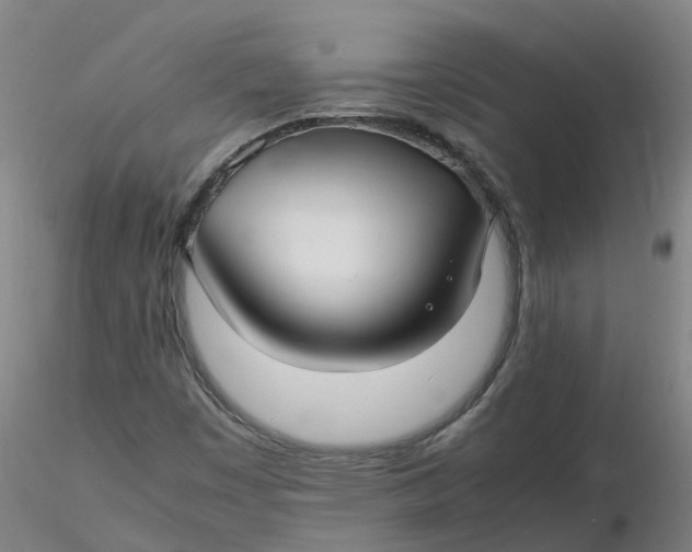 X0000116351449200912221452