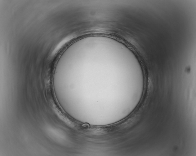 X0000116351450200912221452