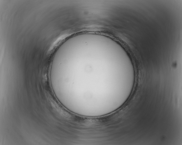 X0000116351451200912221452