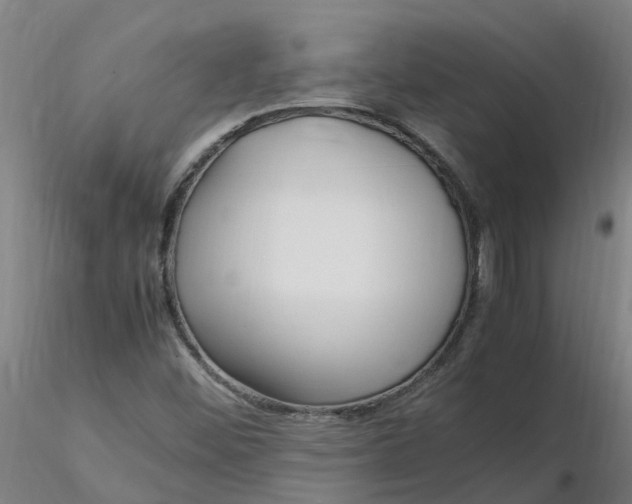 X0000116351452200912221452