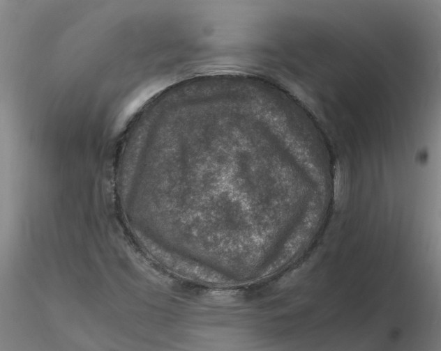 X0000116351453200912221452