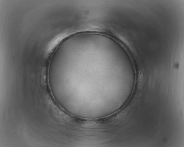 X0000116351455200912221452