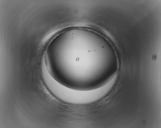 X0000116351456200912221452