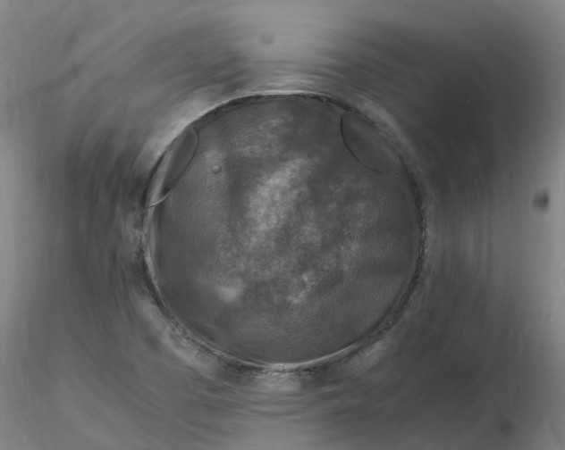 X0000116351457200912221452