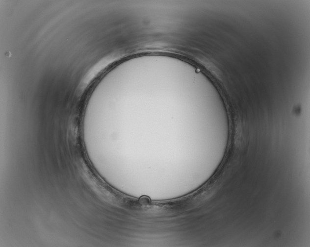 X0000116351458200912221452