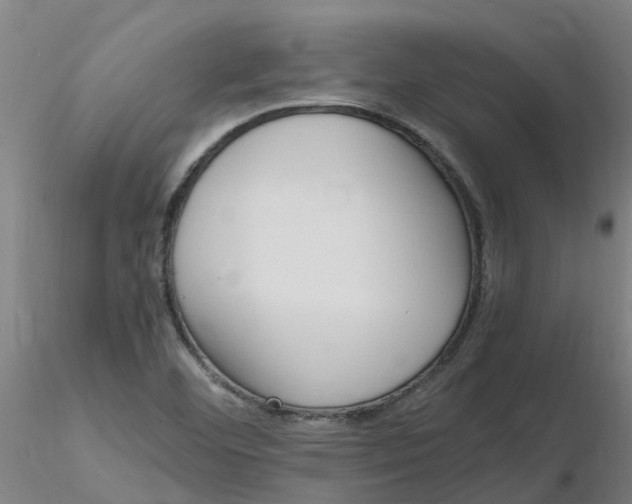 X0000116351460200912221452