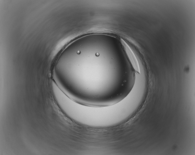 X0000116351461200912221452