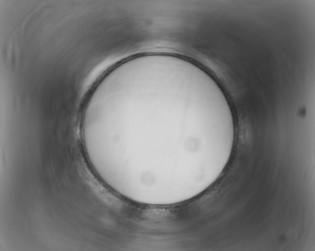 X0000116351462200912221452