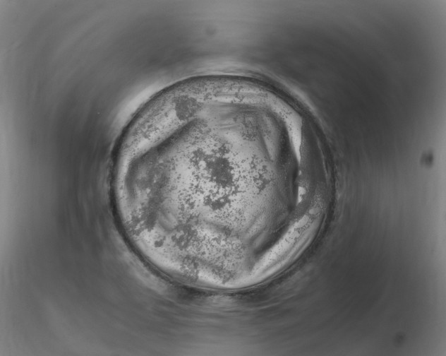 X0000116351463200912221452