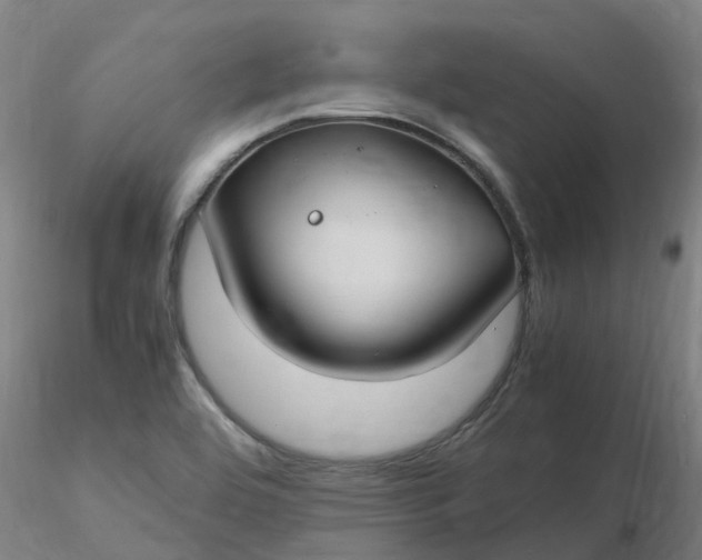 X0000116351464200912221452