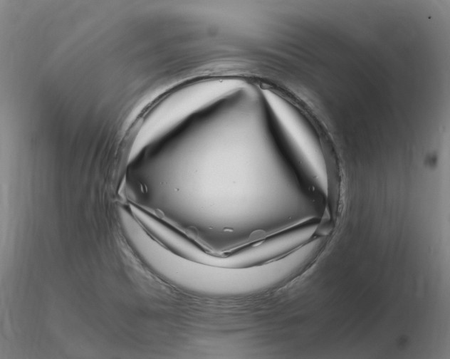 X0000116351465200912221452