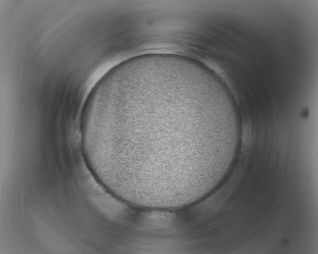 X0000116351466200912221452