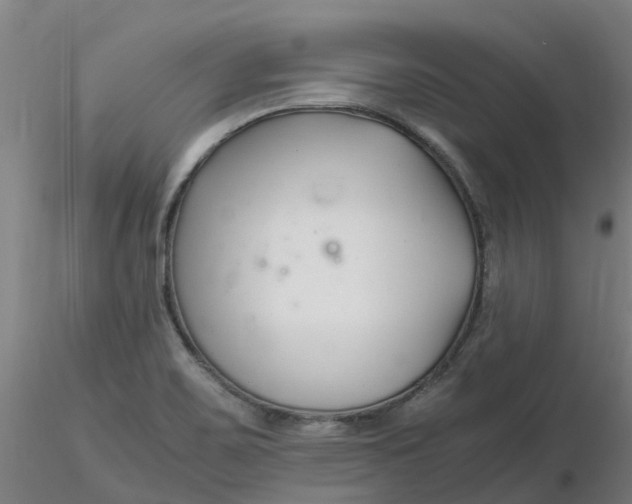 X0000116351467200912221452