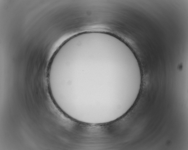 X0000116351470200912221452