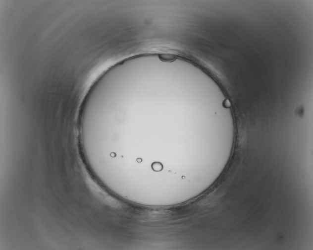 X0000116351471200912221452