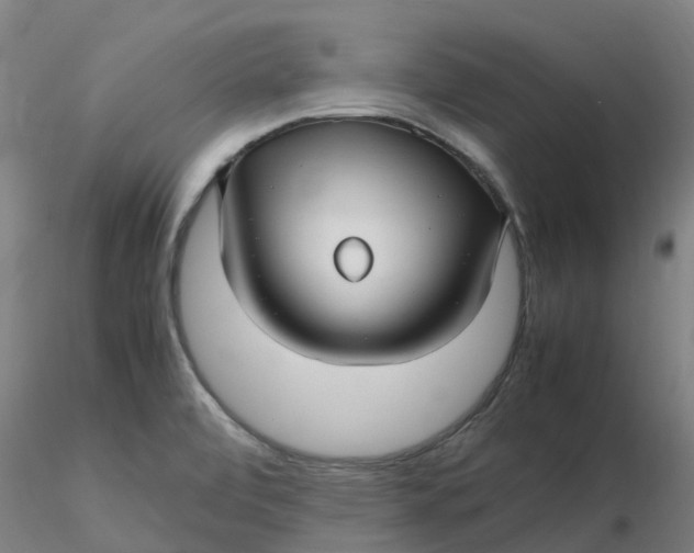 X0000116351472200912221451