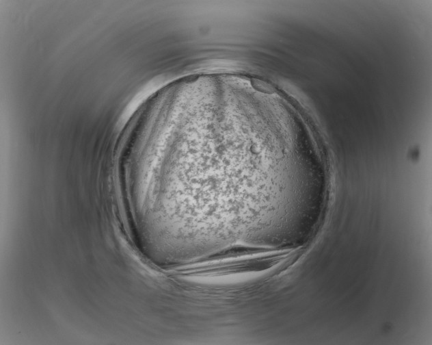 X0000116351473200912221451