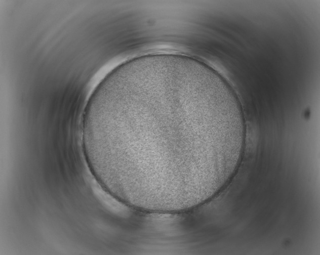 X0000116351474200912221451