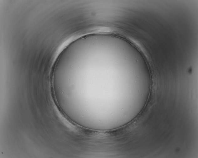 X0000116351475200912221451