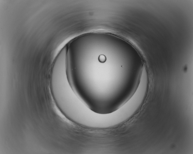 X0000116351476200912221451