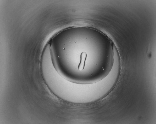 X0000116351477200912221451