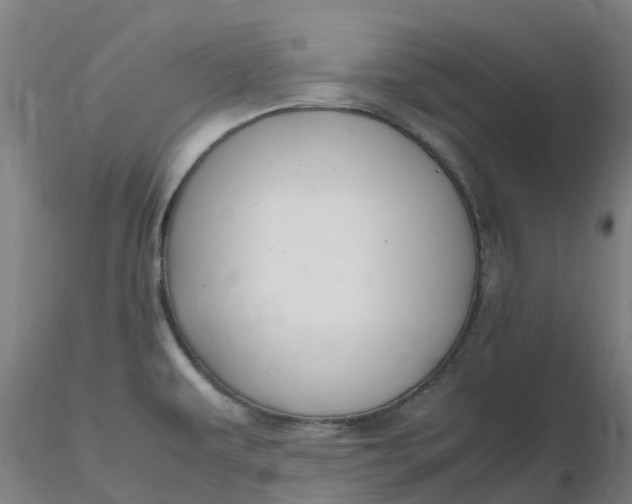 X0000116351479200912221451